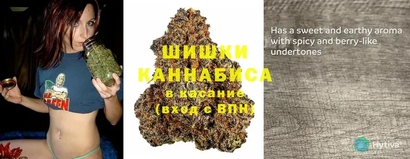 купить закладку  Грязи  Бошки марихуана Bruce Banner 